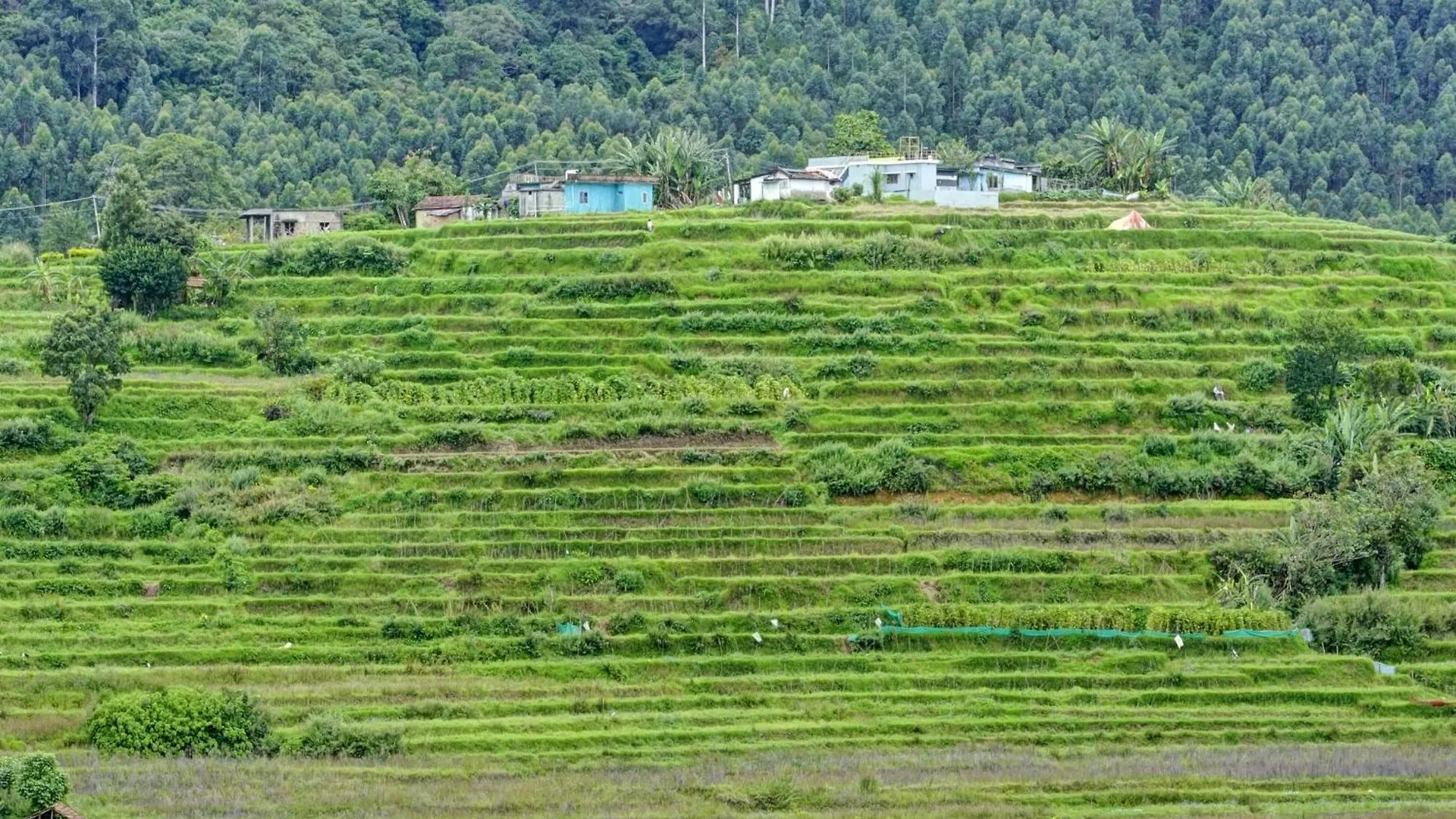 Hotel O Lulu Home Munnar